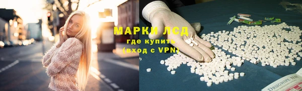 стафф Арсеньев