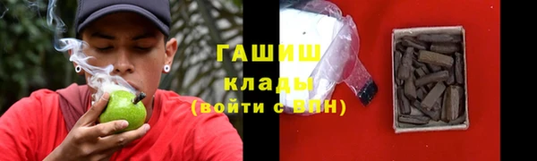 дмт Дмитров