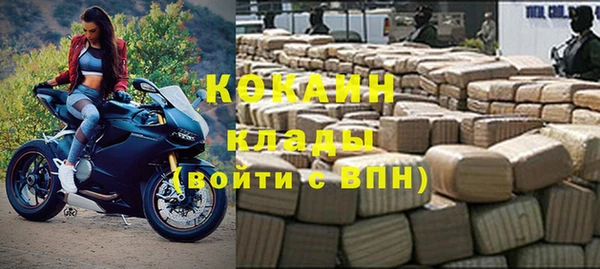 стафф Арсеньев