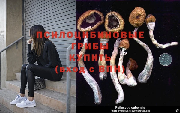 СК Армянск