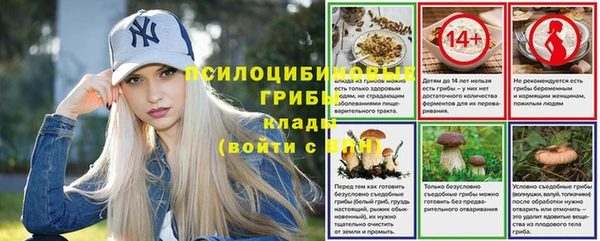 стафф Арсеньев