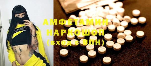 хмурый Ельня