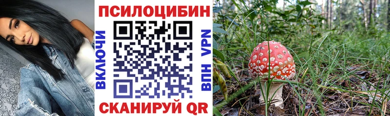 ОМГ ОМГ маркетплейс  Коломна  Галлюциногенные грибы GOLDEN TEACHER 